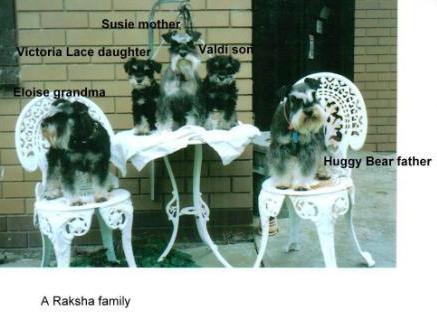 Raksha Extended family